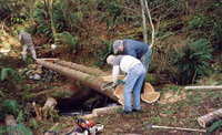 Roger and Dave pinning The logs.jpg
